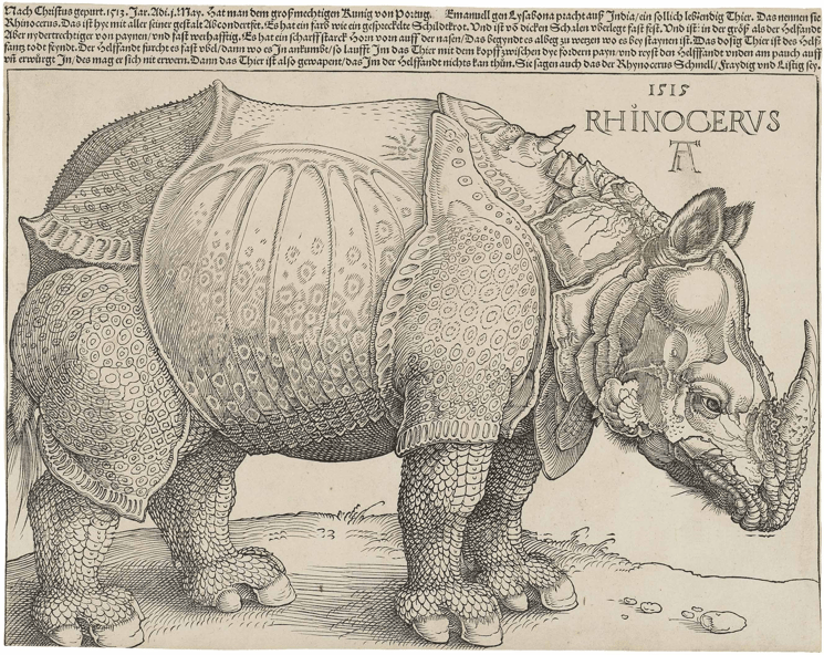 Dürer's rhino etching.